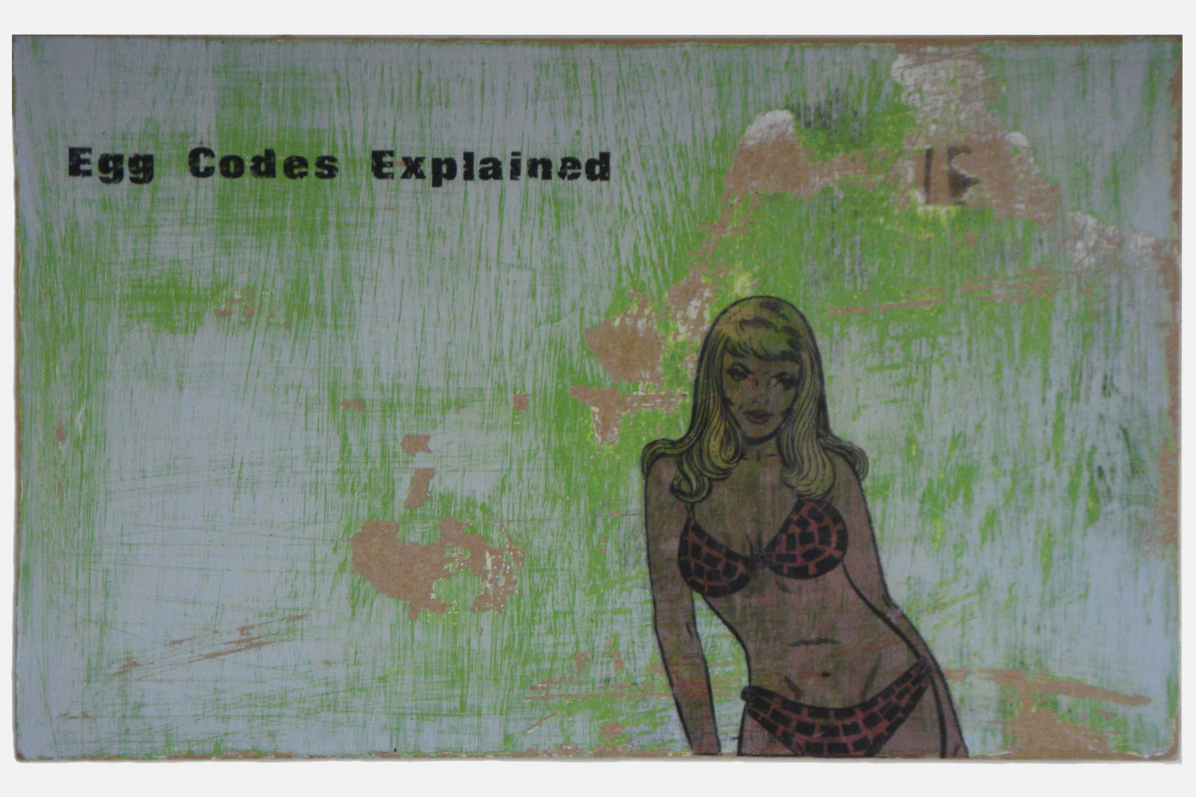 EGG CODES EXPLAINED<br>Mixed media on hardboard<br>??? x ???cm