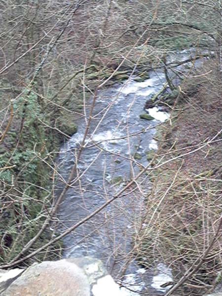 Glen Road Wharry Burn Bridge image